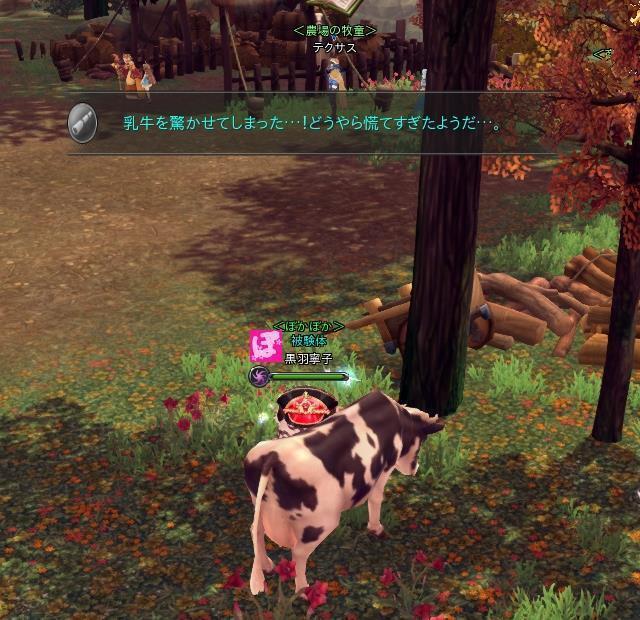 01.JPG