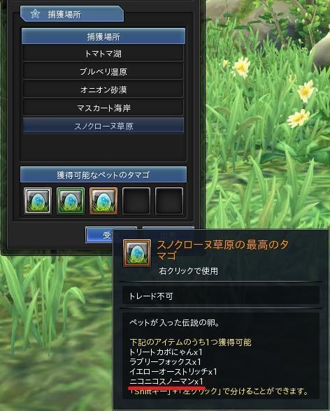 03.JPG
