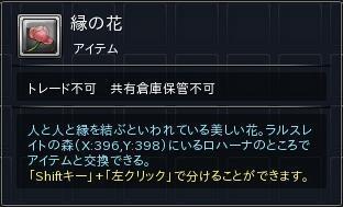 03.JPG