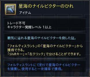 04.JPG