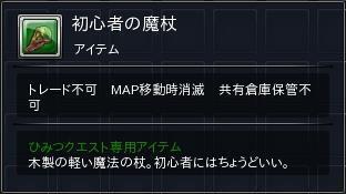 06.JPG