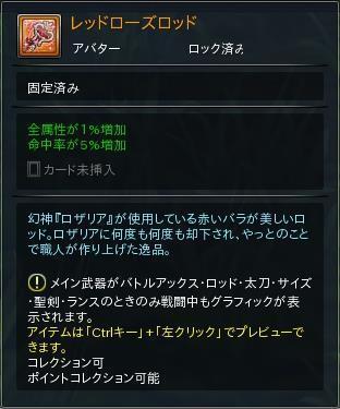 06.JPG