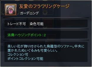 06.JPG