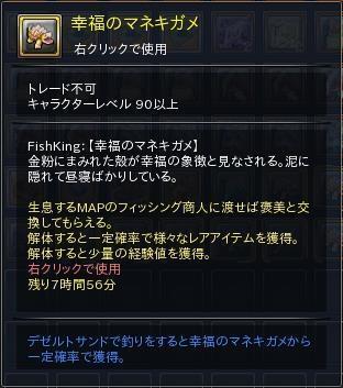 07.JPG
