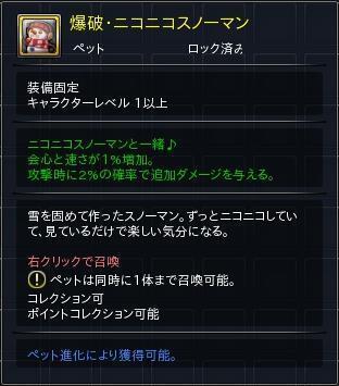 07.JPG