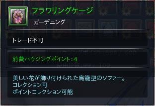 07.JPG