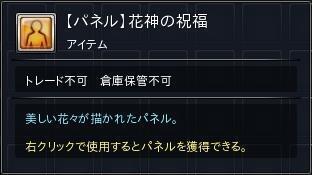 08.JPG
