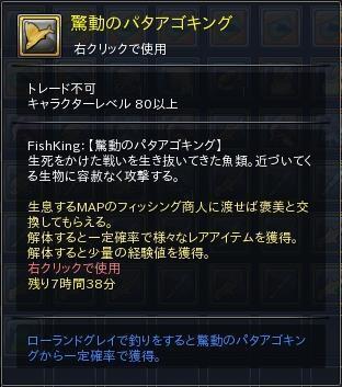 09.JPG