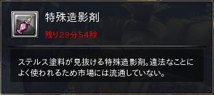 12.JPG