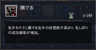 21.JPG