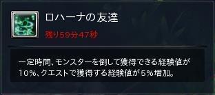 61.JPG